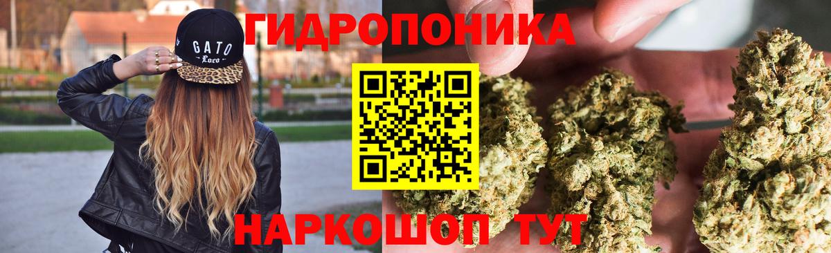 Бошки марихуана Bruce Banner  Вход с VPN  Бошки марихуана AK-47  Грязи 